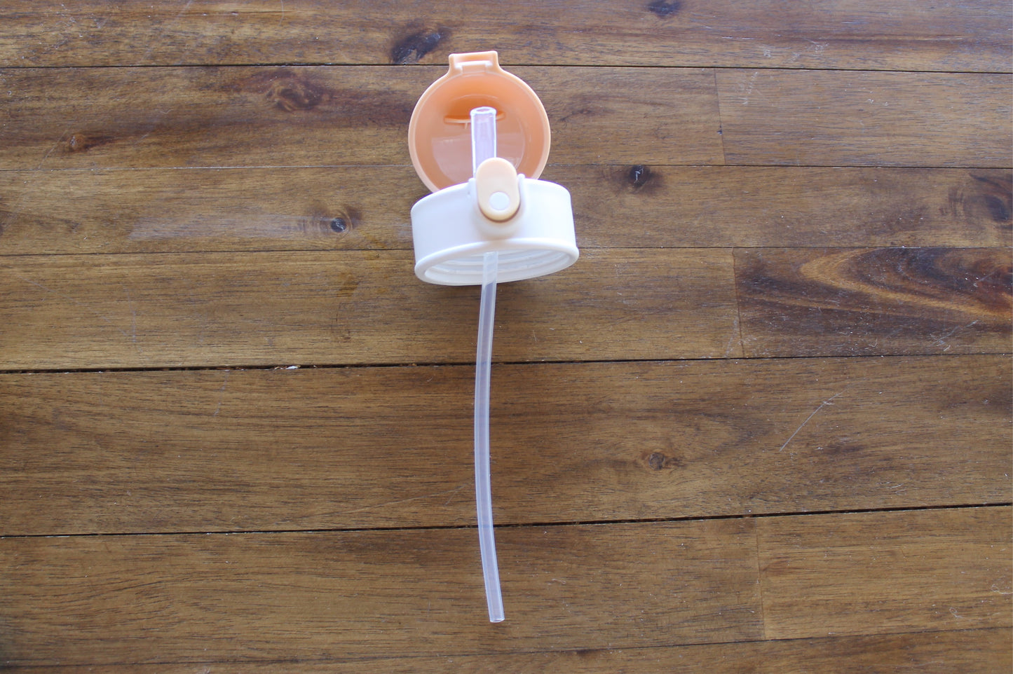 Wilder Deer Mama w/baby Kids Water Bottle w/button lid in White