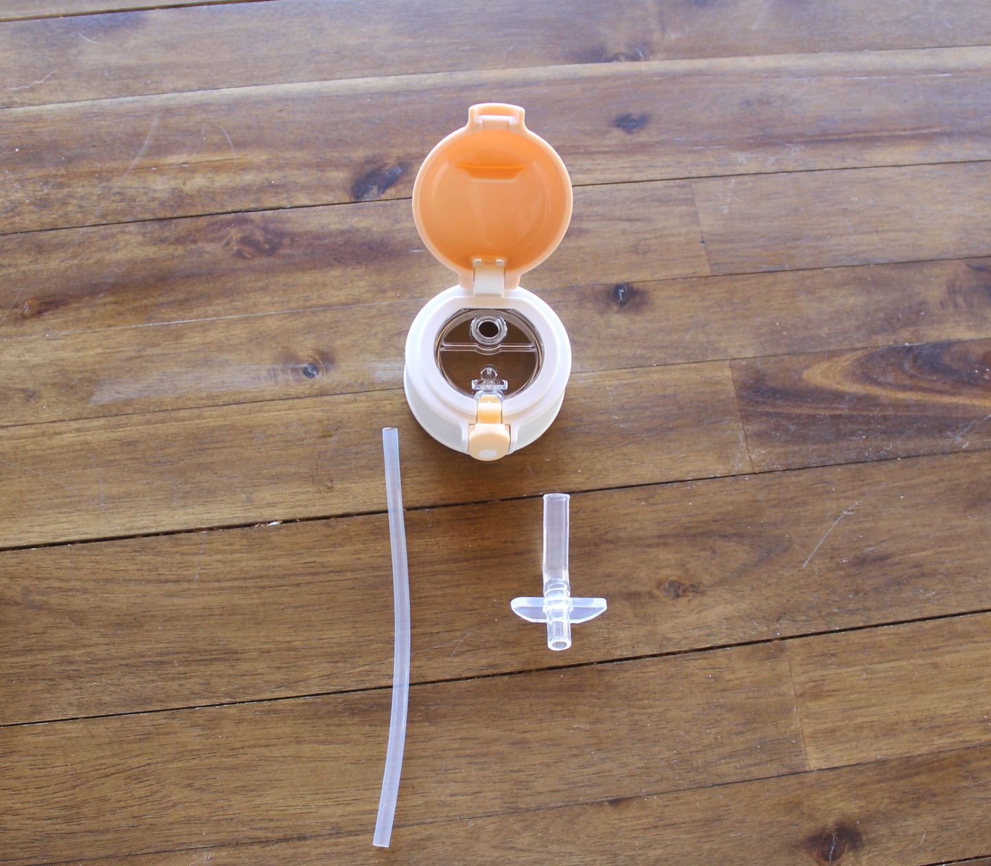 Wilder Lion Kids Water Bottle w/button lid in Tan
