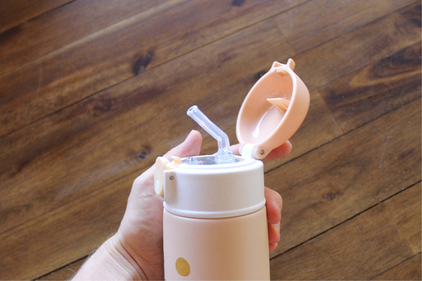 Wilder Lion Kids Water Bottle w/button lid in Tan