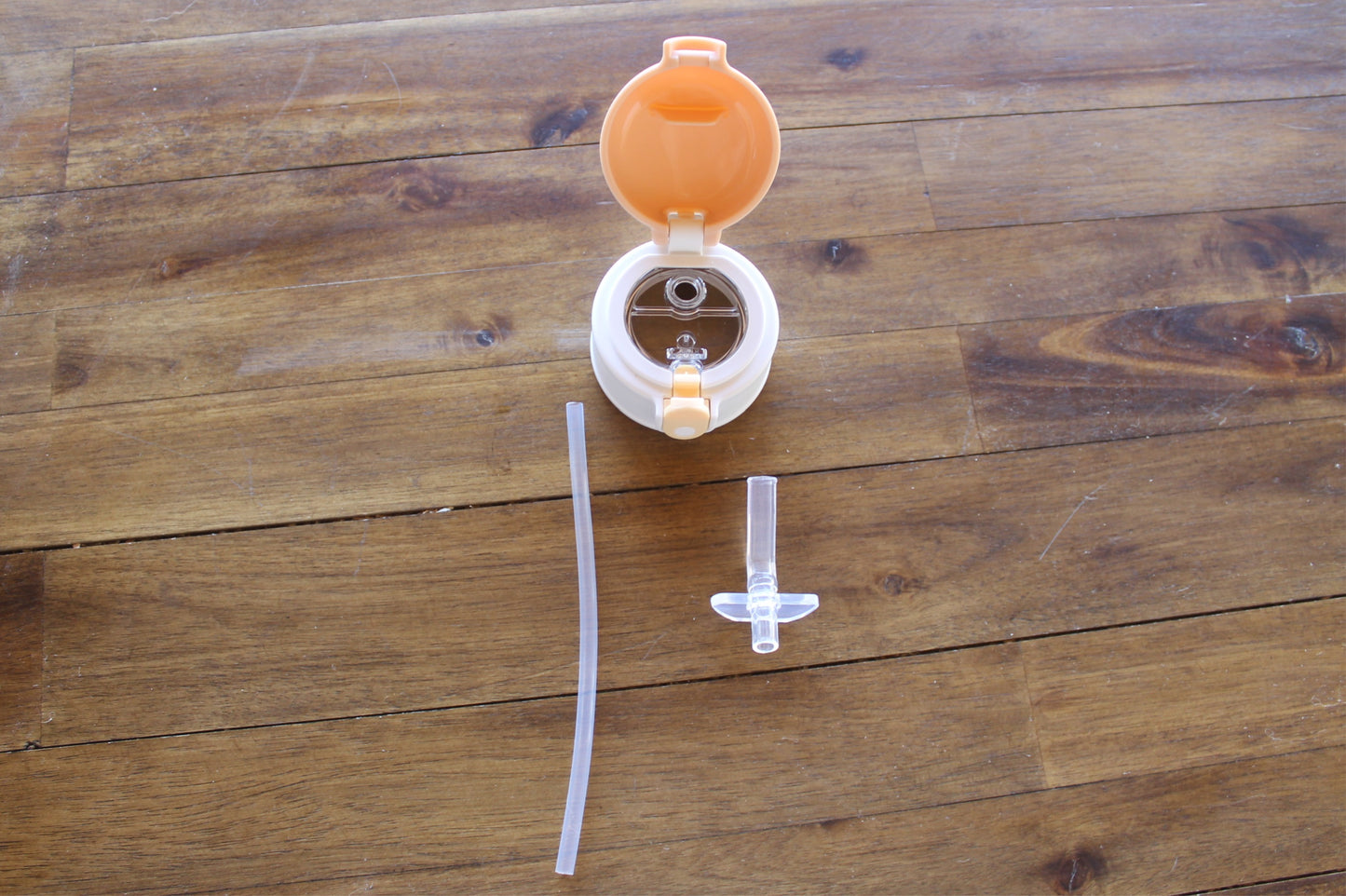 Wilder Sports Kids Water Bottle w/button lid in Tan