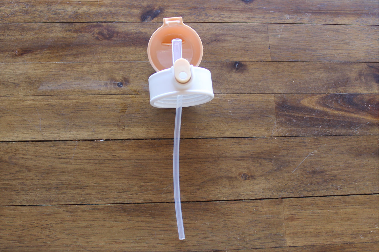 Wilder Flowers Kids Water Bottle w/button lid in White