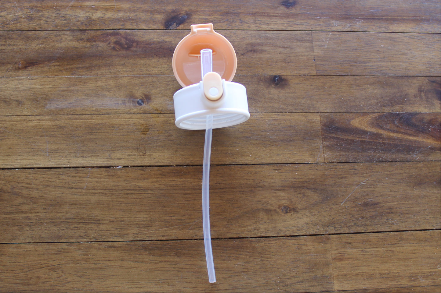 Wilder Lion Kids Water Bottle w/button lid in Tan