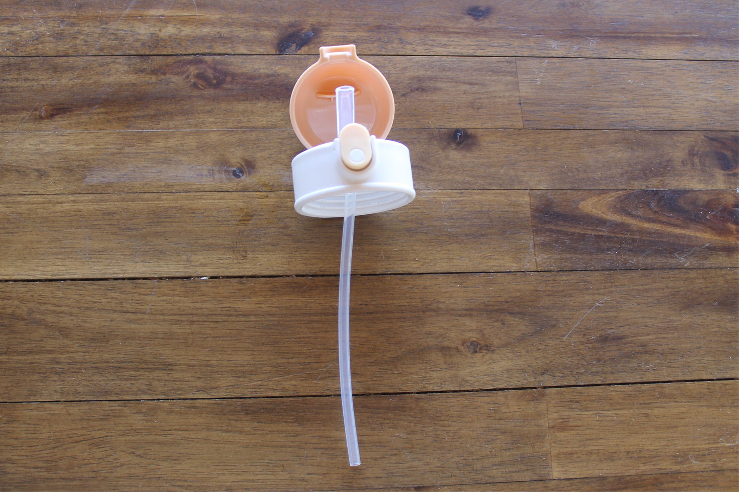 Wilder Lion Kids Water Bottle with button lid in White