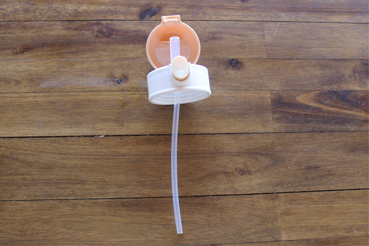 Wilder Sports Kids Water Bottle w/button lid in Tan