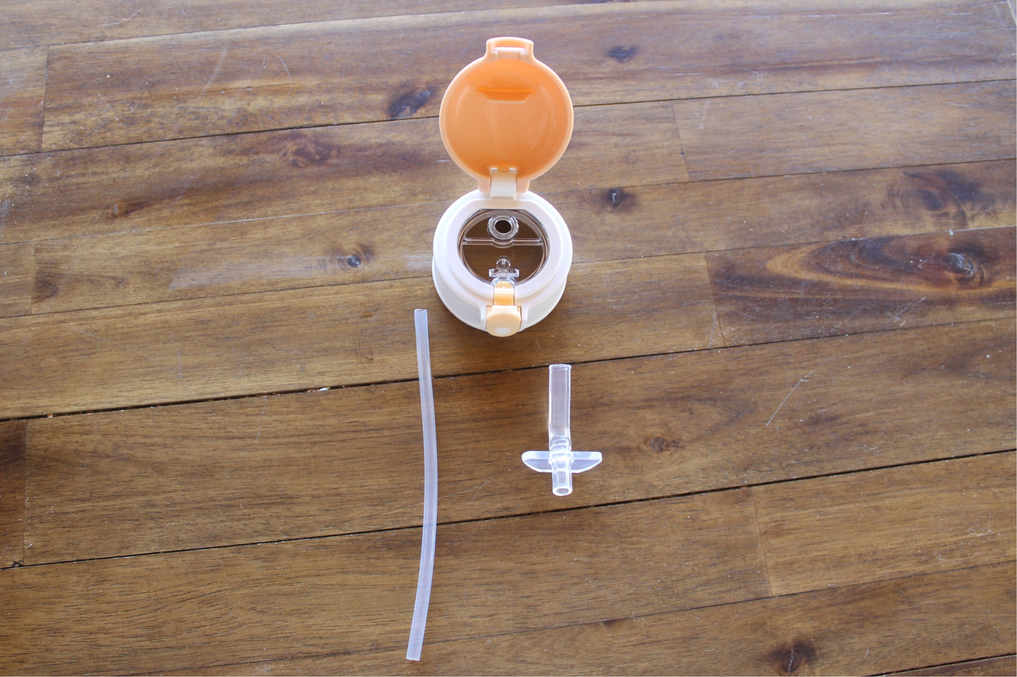 Wilder Lion Kids Water Bottle with button lid in White